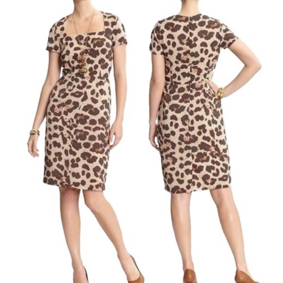 Taupe Brown Sophia Animal Print Work/Office Dress - Picture 7 of 7